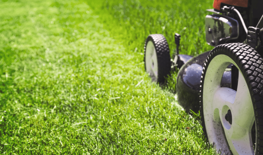 LAWN MAINTENANCE